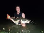 Amazon Redtail Catfish