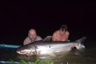 Mekong Catfish
